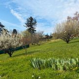 Vente de terrain constructible Saint Didier au Mont D'Or (69)